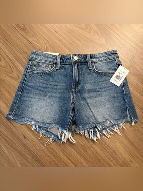 Joe’s Jeans Ozzie Shorts in Denali